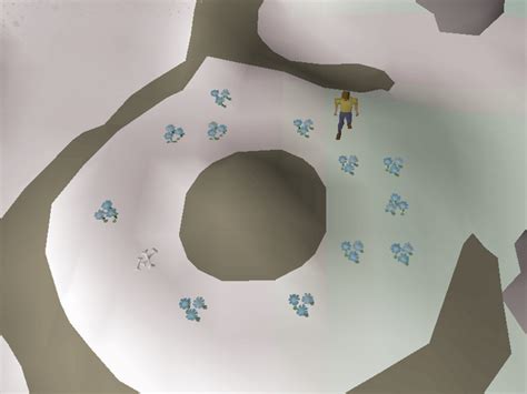 trollweiss mountain clue|Treasure Trails/Full guide/Elite .